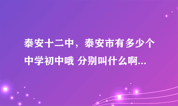 泰安十二中，泰安市有多少个中学初中哦 分别叫什么啊求大神帮助