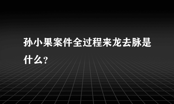 孙小果案件全过程来龙去脉是什么？