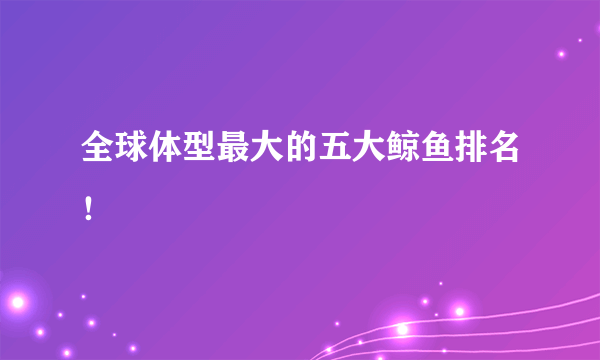 全球体型最大的五大鲸鱼排名！