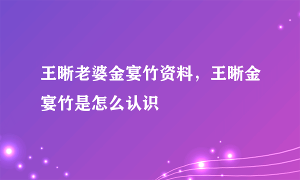 王晰老婆金宴竹资料，王晰金宴竹是怎么认识