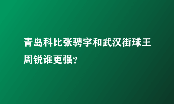 青岛科比张骋宇和武汉街球王周锐谁更强？