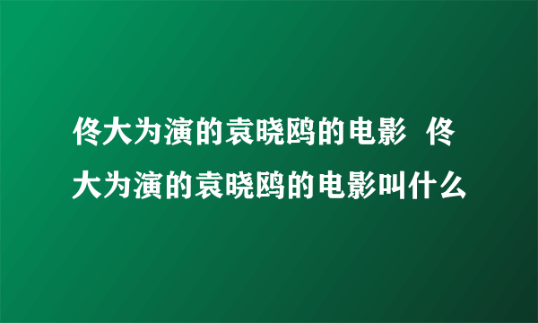 佟大为演的袁晓鸥的电影  佟大为演的袁晓鸥的电影叫什么