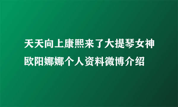 天天向上康熙来了大提琴女神欧阳娜娜个人资料微博介绍