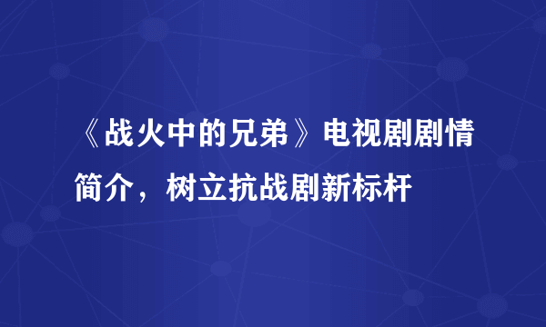 《战火中的兄弟》电视剧剧情简介，树立抗战剧新标杆