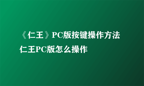 《仁王》PC版按键操作方法 仁王PC版怎么操作