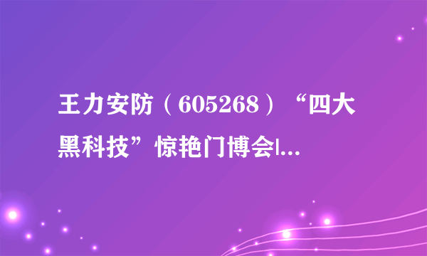 王力安防（605268）“四大黑科技”惊艳门博会|王力多个品牌产品惊艳登场，吸引八方来客！