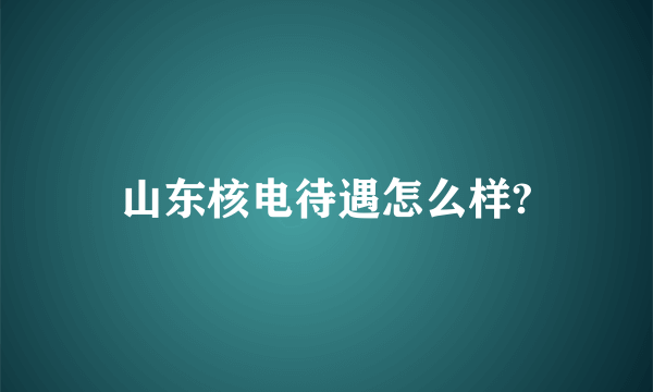 山东核电待遇怎么样?