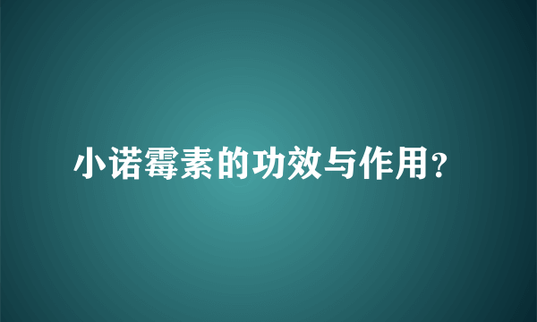 小诺霉素的功效与作用？