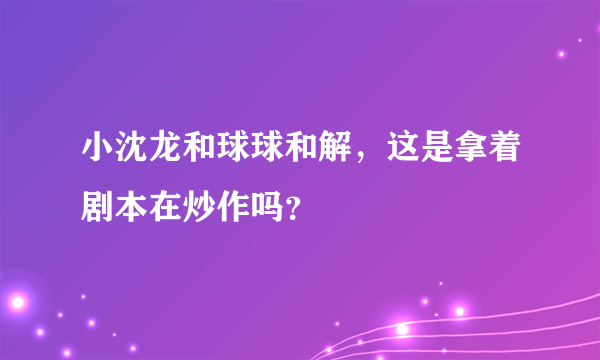 小沈龙和球球和解，这是拿着剧本在炒作吗？