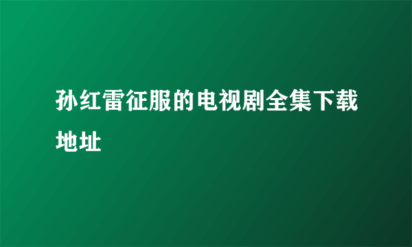 孙红雷征服的电视剧全集下载地址