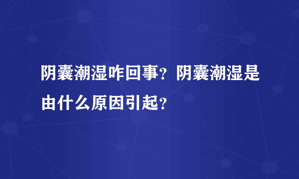 阴囊潮湿咋回事？阴囊潮湿是由什么原因引起？