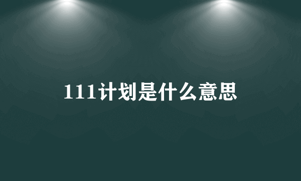 111计划是什么意思