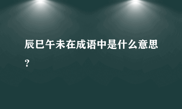 辰巳午未在成语中是什么意思？