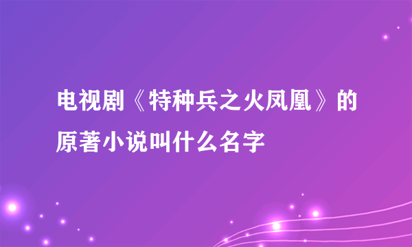 电视剧《特种兵之火凤凰》的原著小说叫什么名字