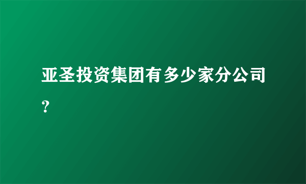 亚圣投资集团有多少家分公司？