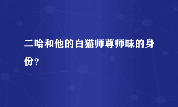 二哈和他的白猫师尊师昧的身份？