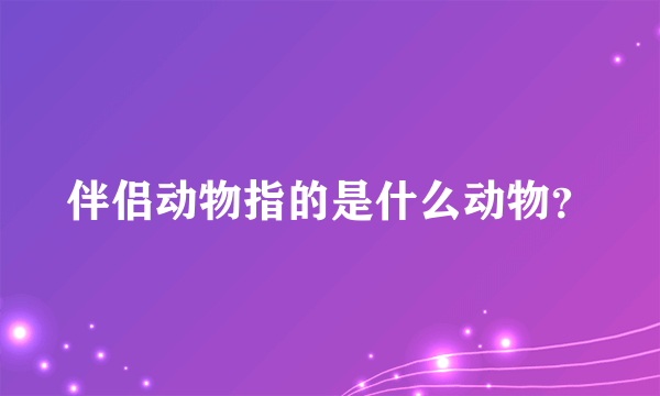 伴侣动物指的是什么动物？