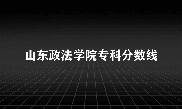 山东政法学院专科分数线