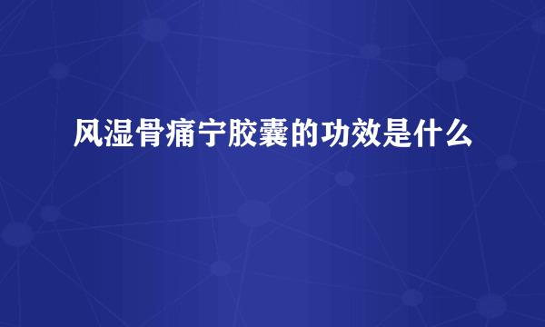 风湿骨痛宁胶囊的功效是什么