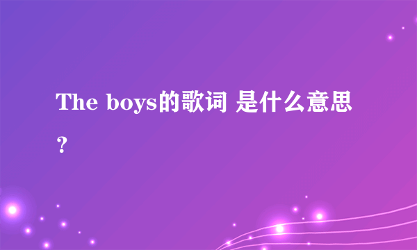 The boys的歌词 是什么意思？