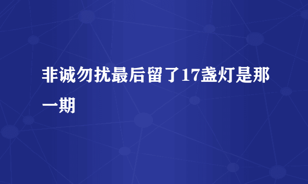 非诚勿扰最后留了17盏灯是那一期