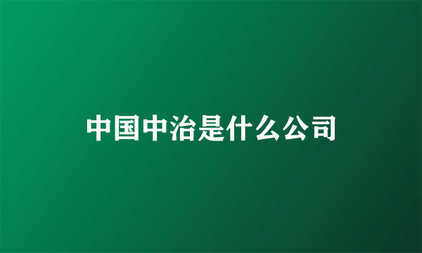 中国中治是什么公司