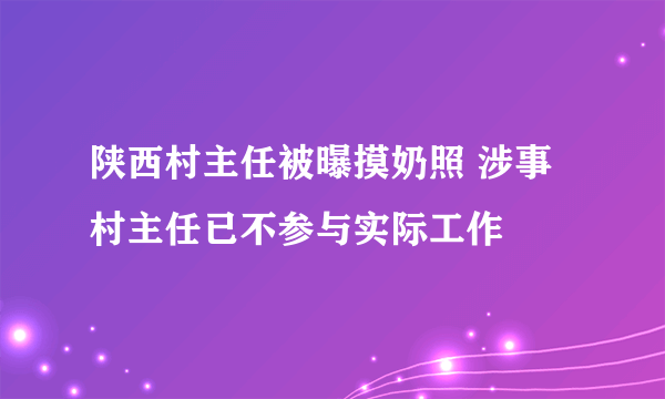 陕西村主任被曝摸奶照 涉事村主任已不参与实际工作