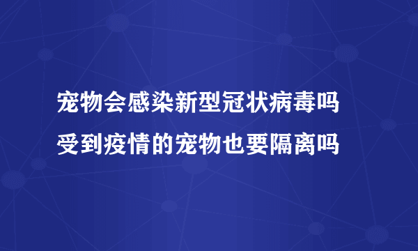 宠物会感染新型冠状病毒吗 受到疫情的宠物也要隔离吗