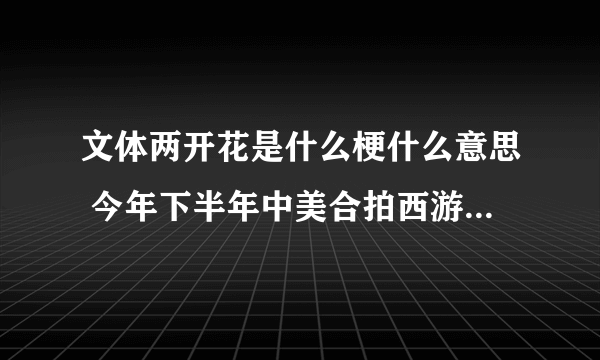 文体两开花是什么梗什么意思 今年下半年中美合拍西游记是什么梗