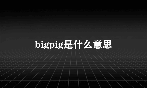 bigpig是什么意思