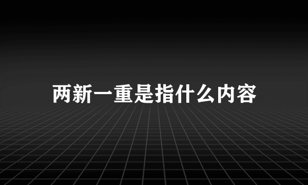 两新一重是指什么内容