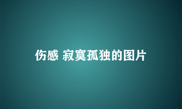 伤感 寂寞孤独的图片