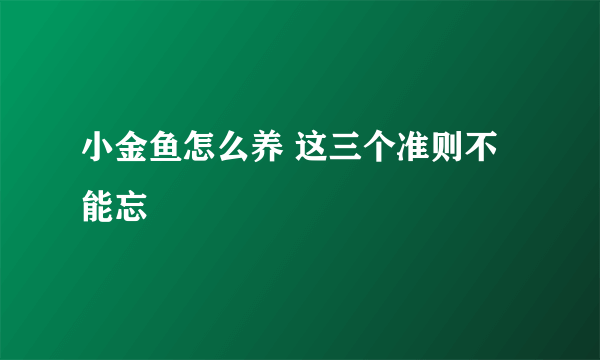 小金鱼怎么养 这三个准则不能忘