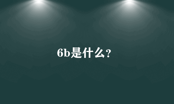 6b是什么？