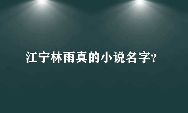 江宁林雨真的小说名字？