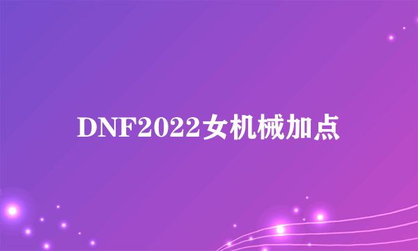 DNF2022女机械加点