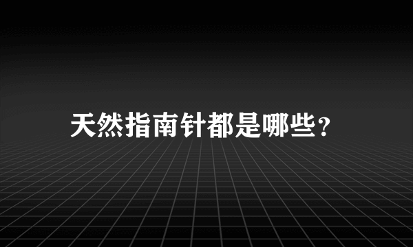 天然指南针都是哪些？