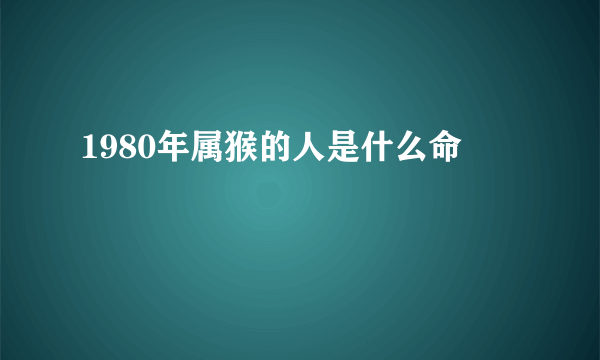 1980年属猴的人是什么命