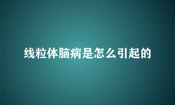 线粒体脑病是怎么引起的