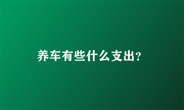 养车有些什么支出？