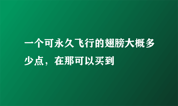 一个可永久飞行的翅膀大概多少点，在那可以买到