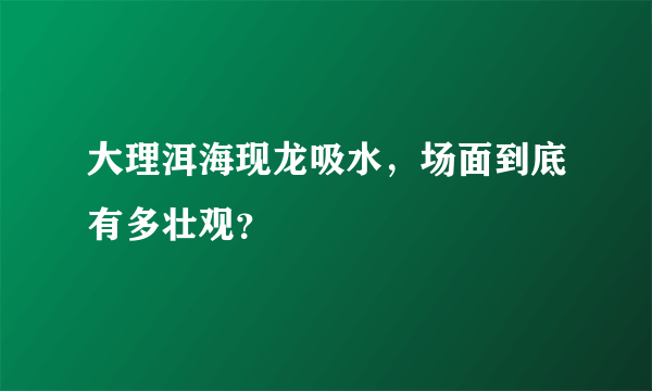 大理洱海现龙吸水，场面到底有多壮观？