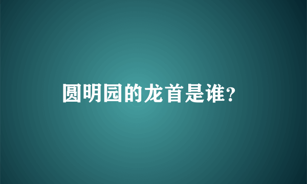 圆明园的龙首是谁？