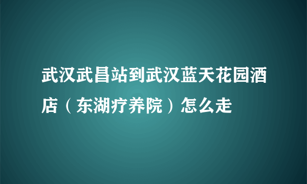 武汉武昌站到武汉蓝天花园酒店（东湖疗养院）怎么走