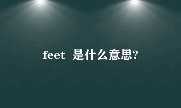 feet  是什么意思?