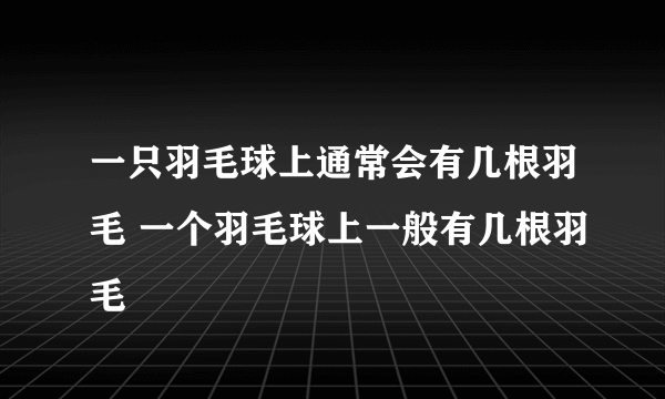 一只羽毛球上通常会有几根羽毛 一个羽毛球上一般有几根羽毛