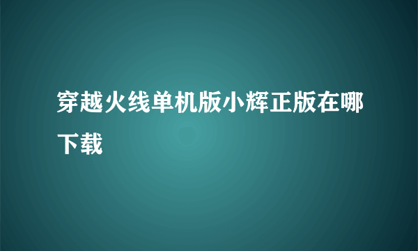 穿越火线单机版小辉正版在哪下载