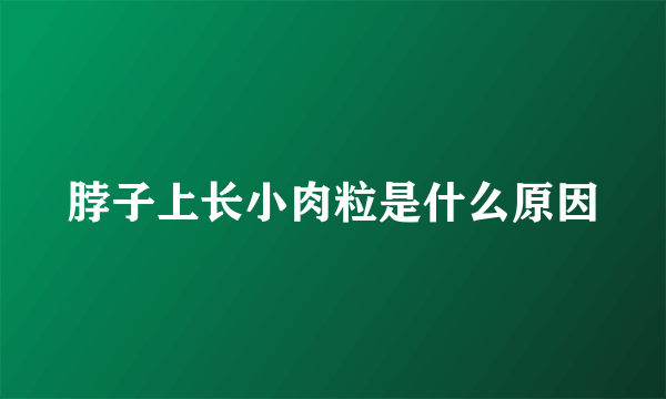 脖子上长小肉粒是什么原因