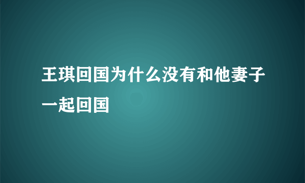 王琪回国为什么没有和他妻子一起回国​