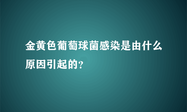 金黄色葡萄球菌感染是由什么原因引起的？